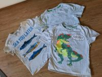 3x T-Shirt , H&M, 122/128, weiß, Dino, Wendepailletten Nordrhein-Westfalen - Beckum Vorschau