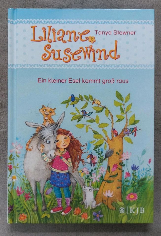 Erstleser Schule d magischen Tiere Li. Susewind Drachenzähmen in Frankfurt am Main