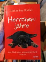 Verschiedene Bücher Stück 0,40€ Schleswig-Holstein - Hemdingen Vorschau