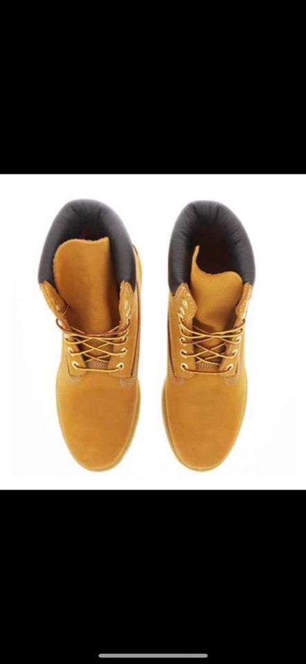 Timberland Schuhe/Stiefel NEU Gr 40 yellow 10361  W/L in Berlin