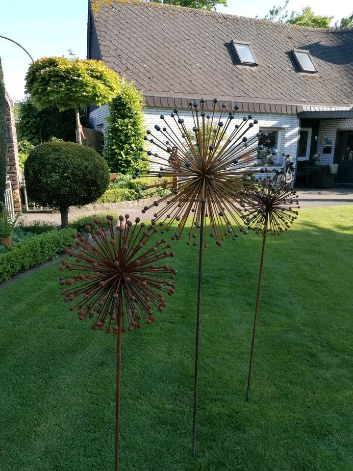 Große Pusteblume in Stadtlohn