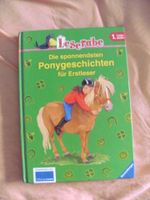 Ponygeschichten für Erstleser Große Schrift Nordrhein-Westfalen - Niederkrüchten Vorschau