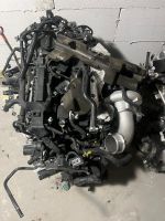 Hyundai i 30n Motor G4KH Engine Performance Mecklenburg-Vorpommern - Zirchow Vorschau