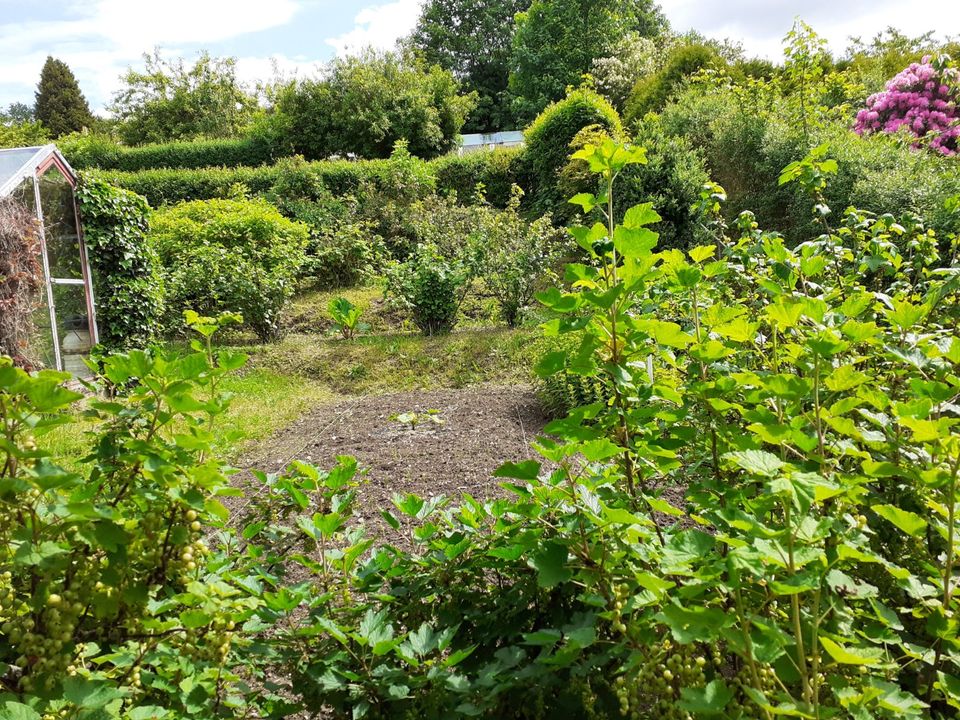 Garten in Suhl - KGV - mit massivem Doppelbungalow abzugeben in Suhl