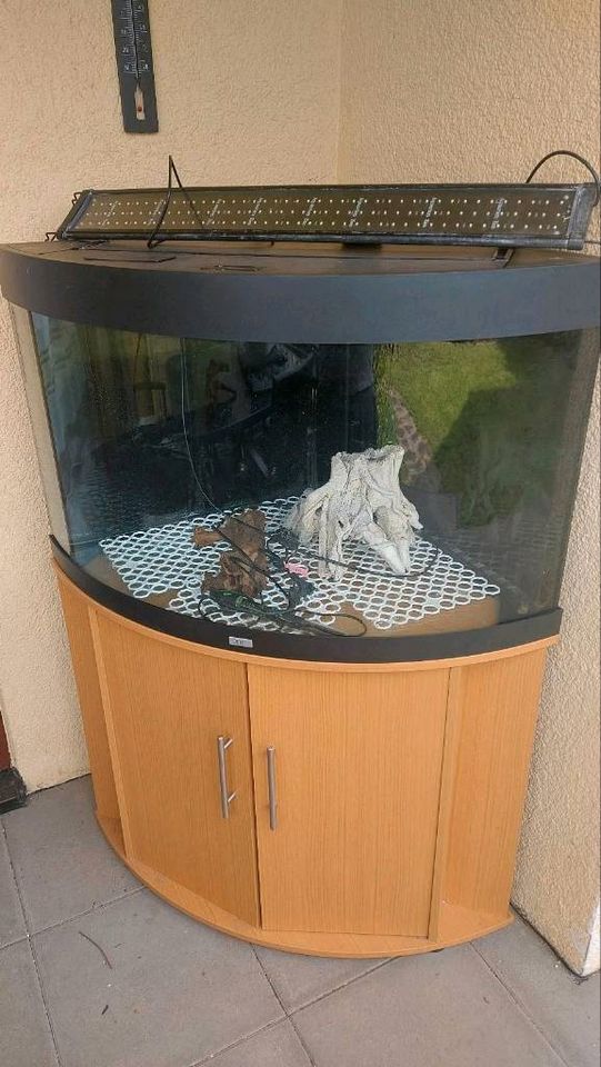 Schnäppchen! Juwel Trigon 190 liter Aquarium in Leimen