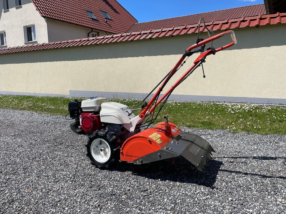 Orec Bodenfräse SF600D Herkules Bodenhacke Motorhacke Gartenfräse in Heilbad Heiligenstadt