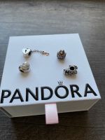 Pandora Charms je 15€ Hessen - Ober-Mörlen Vorschau