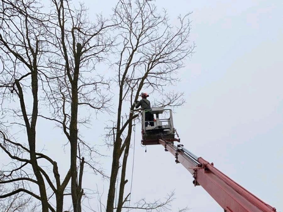 ❗Baumfällung,Hecke/Problem/Baum fällen / entfernen,Sturmschaden in Bruckberg bei Landshut