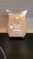 Scentsy Bar Toasted Acorn & Oak - Neu & OVP Rheinland-Pfalz - Rockenhausen Vorschau