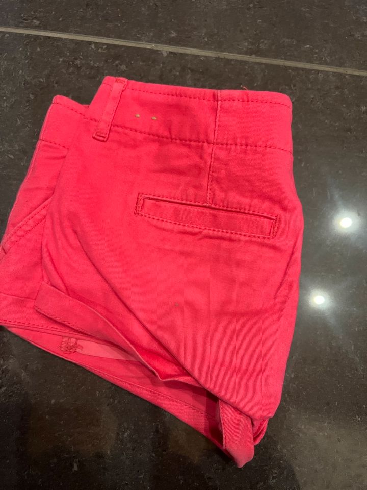 Pinke Hollister Shorts in Schwalbach