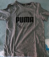 Puma Sportshirt Sachsen-Anhalt - Magdeburg Vorschau