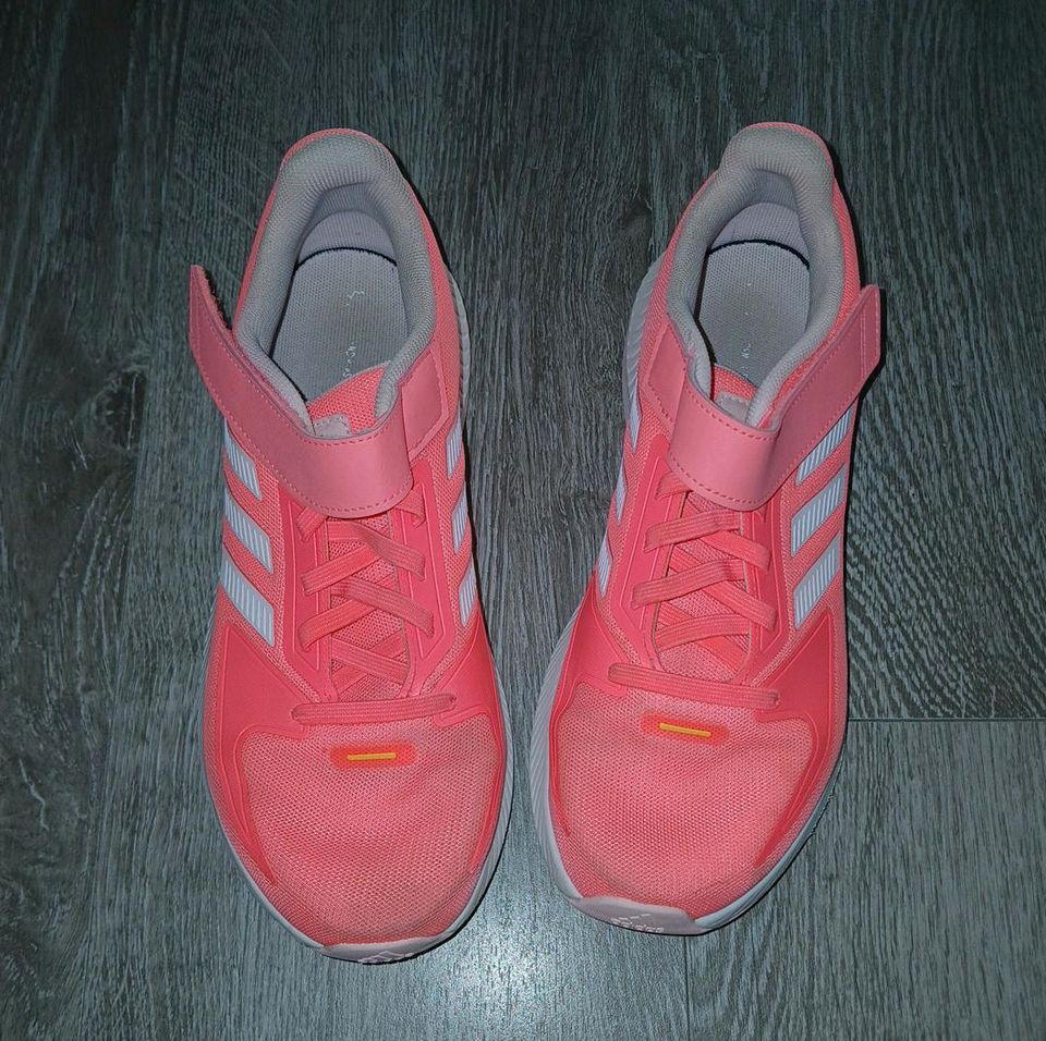 Sportschuhe Turnschuhe adidas Gr. 38 in Ebstorf