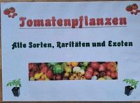 Tomatenpflanzen bio, viele tolle Sorten Hessen - Heppenheim (Bergstraße) Vorschau