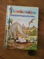 Schmökerbären Dinosauriergeschichten Baden-Württemberg - Mühlhausen-Ehingen Vorschau