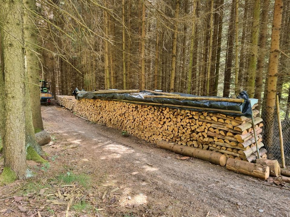Brennholz geschnitten, gespalten in Adorf-Vogtland