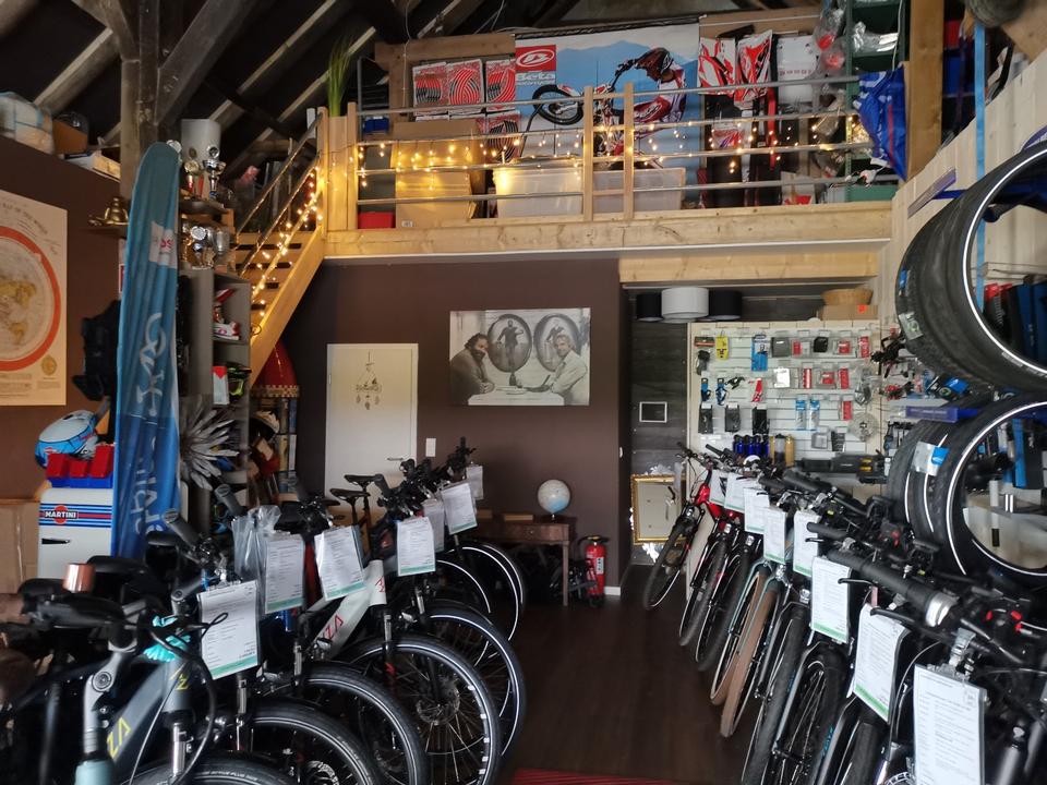 E-Rad Inspektion, E-Bike Inspektion, Bosch, inkl. Software-Update in Esens