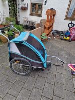 Fahrrad-Kinder-Anhänger Bayern - Rosenheim Vorschau