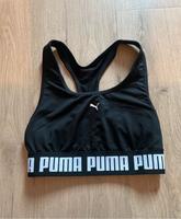 Puma Top S Kreis Pinneberg - Heist Vorschau