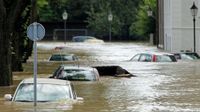 Auto Ankauf  Pkw Ankauf Wasserschaden Essen - Essen-Werden Vorschau