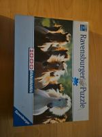 Ravensburger Puzzle Saarland - Homburg Vorschau