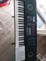 Keyboard zu Verkaufen Schleswig-Holstein - Seedorf Vorschau