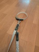 Leine Halsband Hunter Glow in the dark Baden-Württemberg - Ulm Vorschau