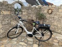 E-Bike Herkules Roberta 8 Baden-Württemberg - Bötzingen Vorschau