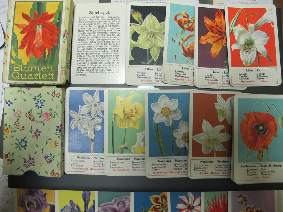 alte Spielkarten Quartett Blumen 1932 mit Schachtel selten in Höpfingen