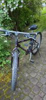 26 Zoll Fahrrad/ unisex Fahrrad Hessen - Oberursel (Taunus) Vorschau