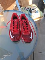 Nike Laufschuhe Gr. 42 Brandenburg - Niemegk Vorschau