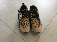 Steve Madden Sneaker Gr. 37 top Zustand Tiger Bayern - Zolling Vorschau