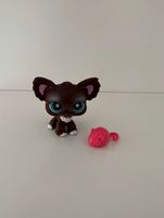 Littlest Pet Shop Spielfigur Hund Chihuahua #219 Sammelfigur LPS Hessen - Hanau Vorschau