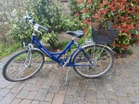 Fahrrad Rabeneick Zabee 28" fully Damen und Herren Rheinland-Pfalz - Zornheim Vorschau