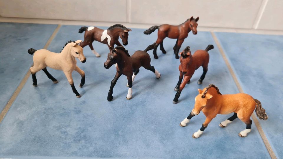 Schleich Pferd Fohlen Hannoveraner Trakehner Andalusier Araber in Schwanewede