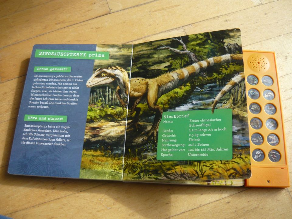 Das große Dinosaurier-Soundbuch (Coppenrath) T-Rex World in Tawern