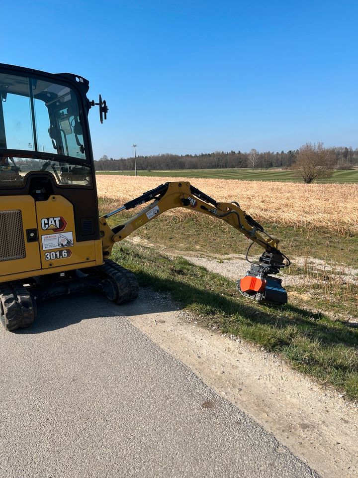 2t Vermietung CAT 301.8 mit Mulcher Minibagger Miete in Langenbach