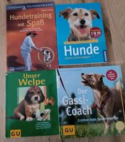 Hunde Buch Training Gassi Welpe Niedersachsen - Weyhe Vorschau