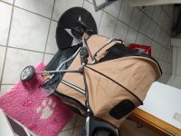 Einen Hunde wagen Nordrhein-Westfalen - Hückeswagen Vorschau