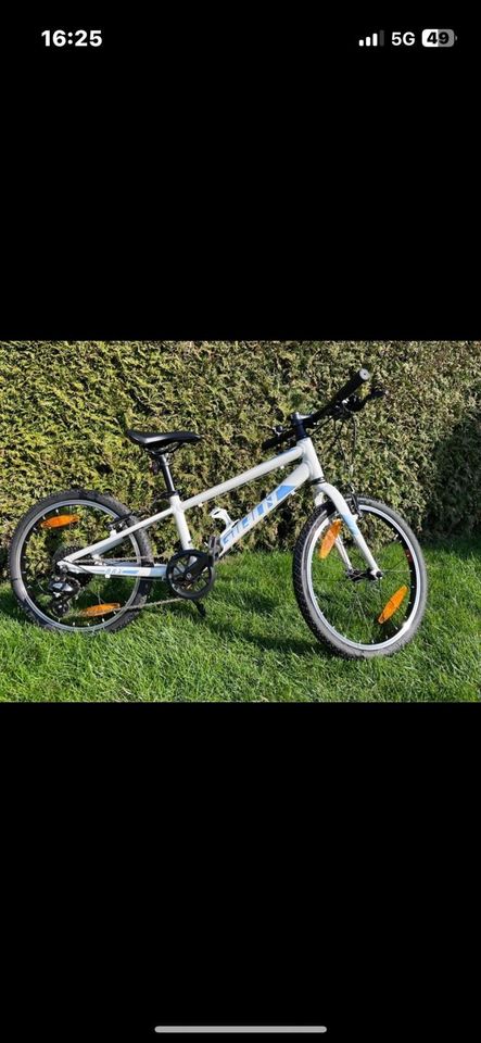 Fahrrad Giant 20 Zoll in Merseburg