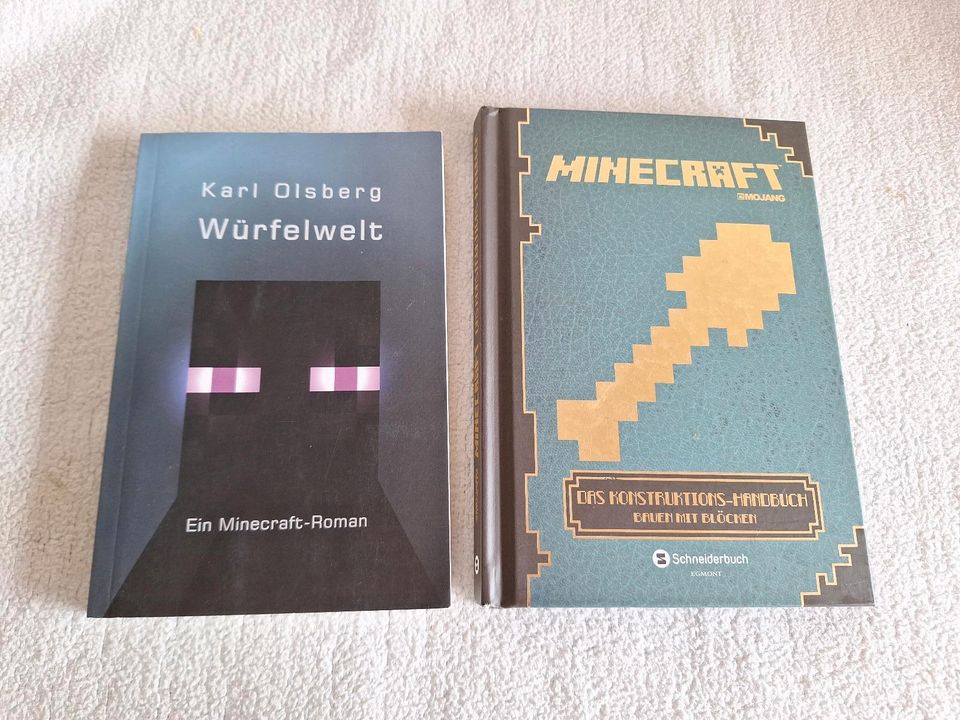 Bücher minecraft in Kissing