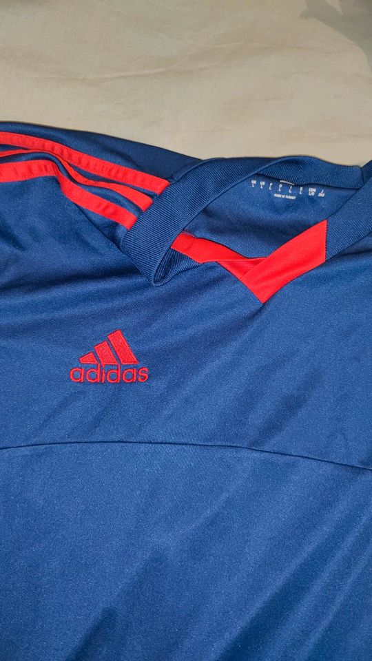 original Adidas T-Shirt gr L herren in Witten