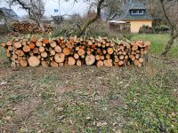 Brennholz Nadel-/Laubholz gemischt in Festmeter Schleswig-Holstein - Blumenthal  Vorschau