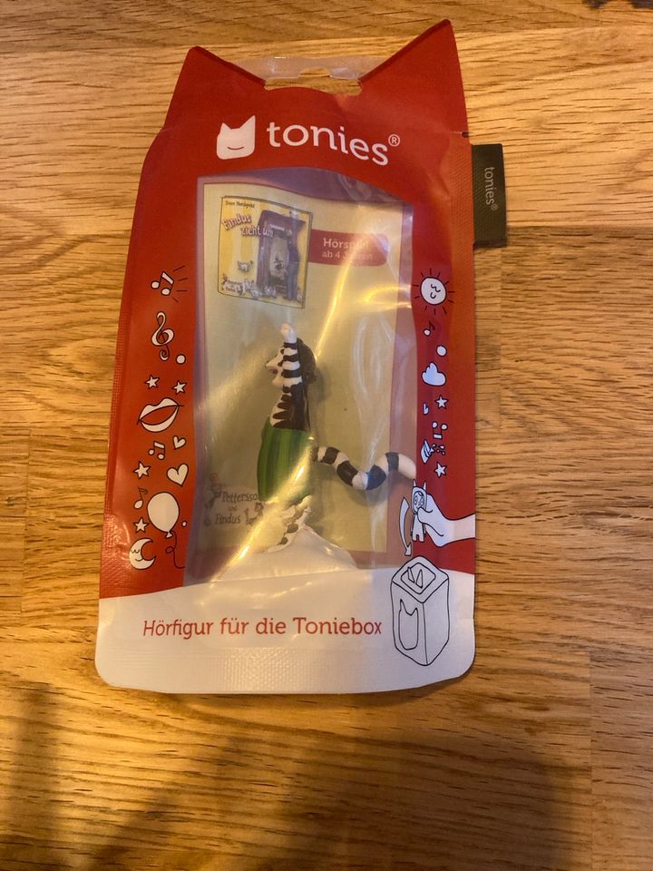 Tonie Findus zieht um in Schauenburg