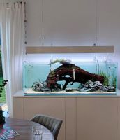 Aquarium 320l komplett Schleswig-Holstein - Hohenwestedt Vorschau