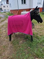 Abschwitzdecke Pink Warmblut 165cm Brandenburg - Hohen Neuendorf Vorschau