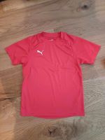 T-Shirt/ Sportshirt Puma rot Gr. 140 Bayern - Meitingen Vorschau