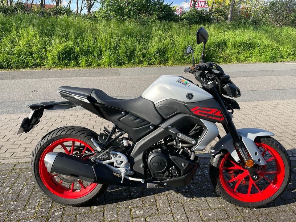 Yamaha MT 125 in Ginsheim-Gustavsburg