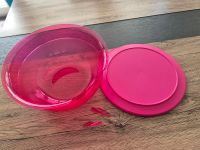 Tupperware Tafelperle pink 3,5 l defekt als Ersatzteil Umtausch? Niedersachsen - Salzgitter Vorschau