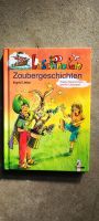 Lesepiraten Buch (Wunschpreis angeben) Niedersachsen - Dissen am Teutoburger Wald Vorschau