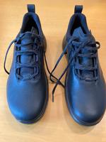 Golfschuh ecco x-tensa invisible Gr. 45 - neu, noch nie getragen Niedersachsen - Hildesheim Vorschau